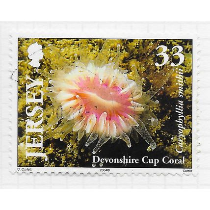 JERSEY 2004 DEVONSHIRE CUP CORAL MARINE SEA LIFE 33p USED DATED