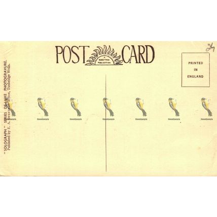 Eastwell Towers, Ashford, Kent, Solograph Sweetland Postcard