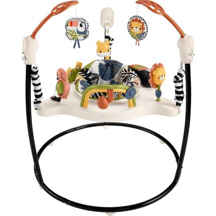 Fisher-Price Baby Bouncer Palm Paradise Jumperoo Activity Center with Music Ligh