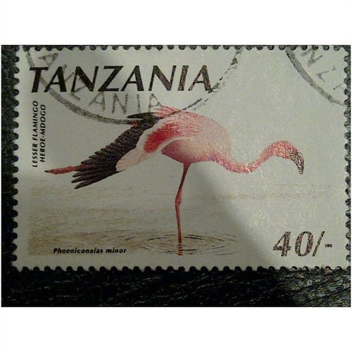 Tanzania QE11 1990 Birds 40s Lesser Flamingo SG 810 Used