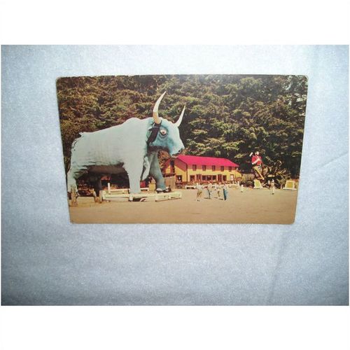 4 Vintage Redwood Forest area Postcards. California. cira 1955 zorfd2