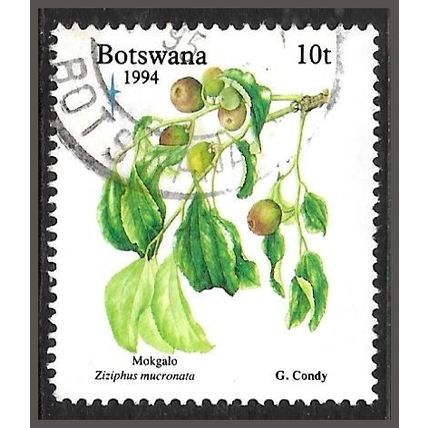 1994 Christmas - Edible Fruits 10t Fine Used C1