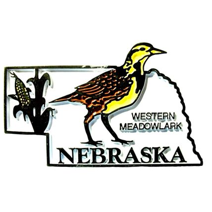 Nebraska State Outline with Western Meadowlark Fridge Magnet