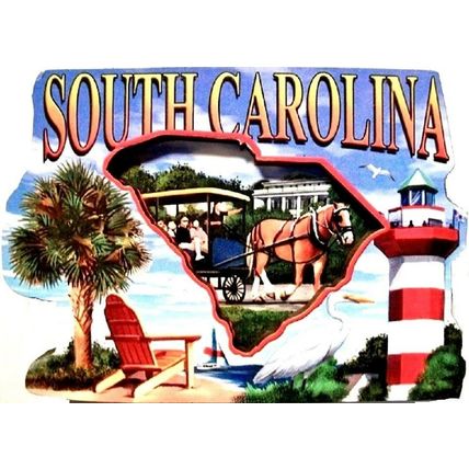South Carolina Montage Artwood Fridge Magnet