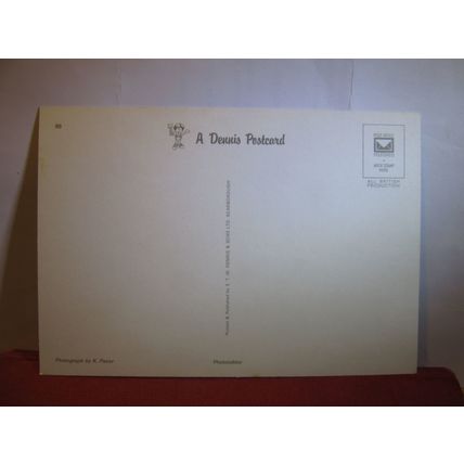THE CROSS, DUNKELD, PERTH & KINROSS, SCOTLAND unused postcard by E T W Dennis =