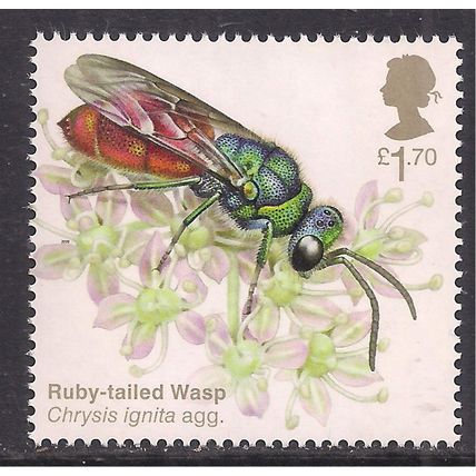 GB 2020 QE2 £1.70 Brilliant Bugs Ruby-Tailed Wasp UMM SG 4433 ( K94 )
