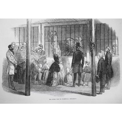 Illustrated London News Nov 6, 1847 -Switzerland Insurrection; Wanganui Conflict