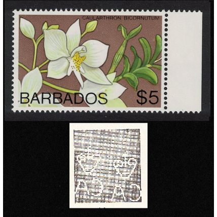 Barbados Orchid 'Caularthron bicornutum' $5 WMK Ww14 RAR 1975 MNH SG#523