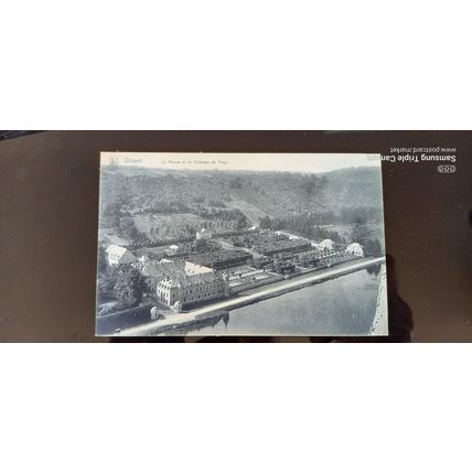 Dinant. La Meuse et le Chateau de Freyr UNC 1910
