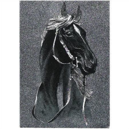 Horse - Dufex shiny finished postcard of a horse c.1970s