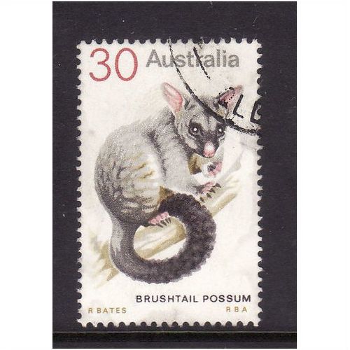 AUSTRALIA 1974 SG 563 30c BUSH TAILED POSSUM FINE USED#2