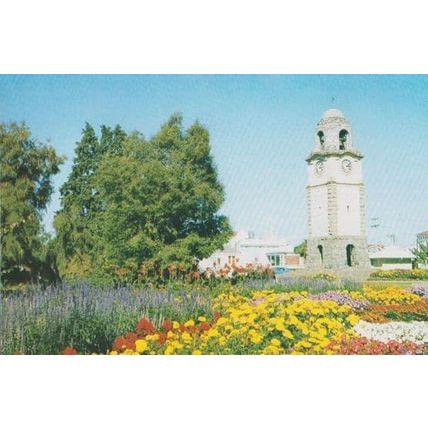 Seymour Square Blenheim New Zealand Postcard