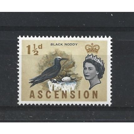 Ascension.SG71 1 1/2d White-capped Noddy.Mounted Mint.Aug24