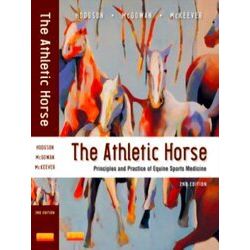 Athletic Horse 2E