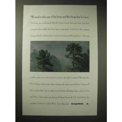 1994 Georgia-Pacific Ad - Take Care of the Forest