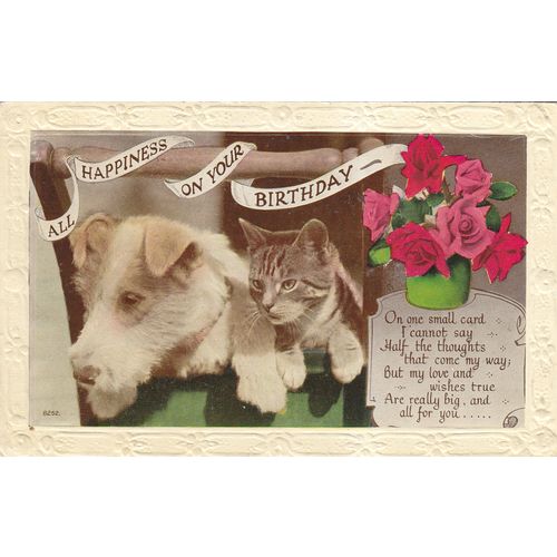 Vintage Colour Postcard - All Happiness on Your Birthday with Dog & Cat #8252