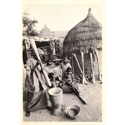 Mud Huts In Nigeria Real Photo Earthscan Postcard