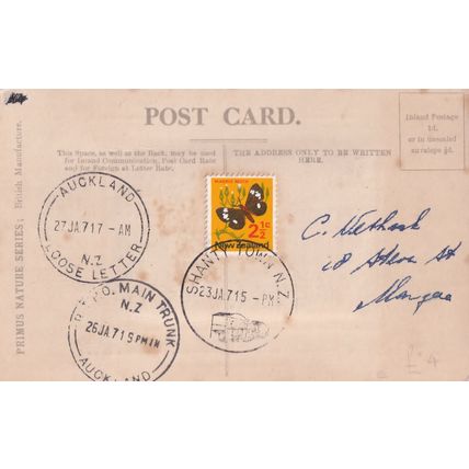 Shanty Town New Zealand Main Trunk Auckland WW1 Postmark Postcard