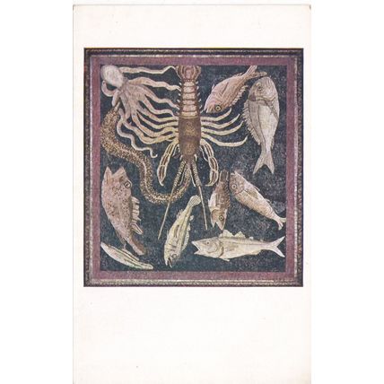 Mosiac Marine Animals Roman 1st or 2nd Century Postcard unused VGC