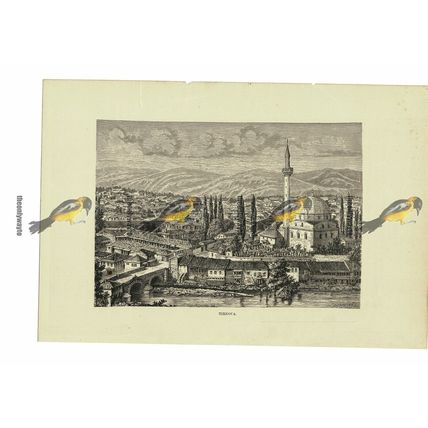 Tirnova, Moldova, Book Illustration (Print), 1880