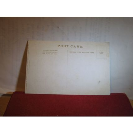 BOWL OF PLUMS unused antique postcard by S. Hildesheimer & Co =