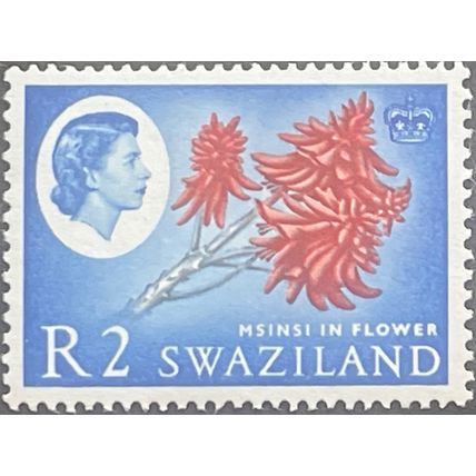 Swaziland QEII 1962 R2 Carmine Red & Ultramarine Unmounted Mint MNH SG 105 stamp