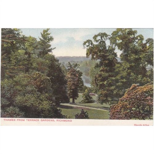 Thames from Terrace Gardens Richmond Surrey Postcard (SY70998)