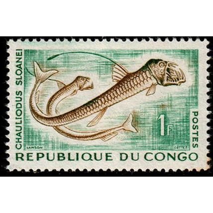 Congo 1961 Tropical Fish 1F Used Stamp