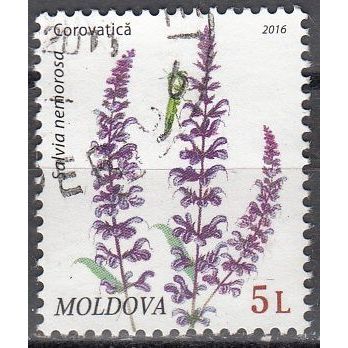 Moldova 2016 Fleur La sauge des forêts O Cachet rond