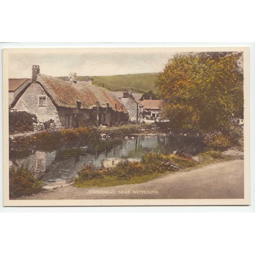 Springhead Near Weymouth Postcard Dorset W19