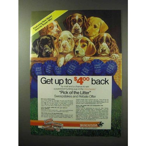 1984 Winchester Cartridges Ad - Pick of the Litter