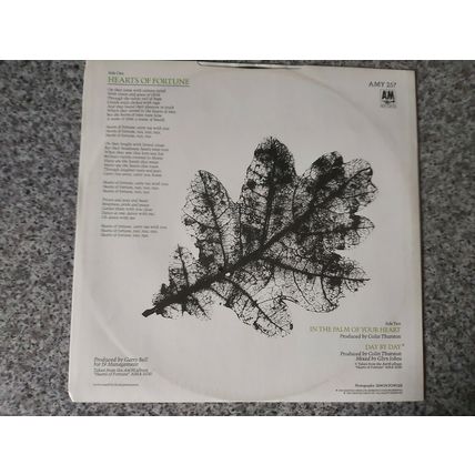 Immaculate Fools ‎– Hearts Of Fortune (AMY 257) 1985 (EP)
