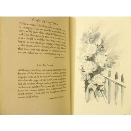 I WILL LIFT UP MINE EYES INSPIRING WORDS OF COMFORT AND HOPE HALLMARK EDITIONS