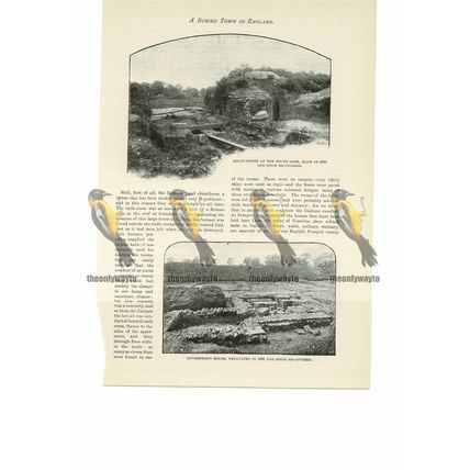 Silchester, Excavations, Hants, England, Book Illustration (Print), 1893