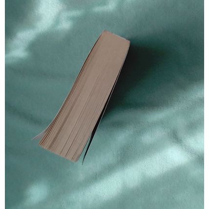 The Sentinel (Jack Reacher 25) by Andrew Child, Lee Child PB