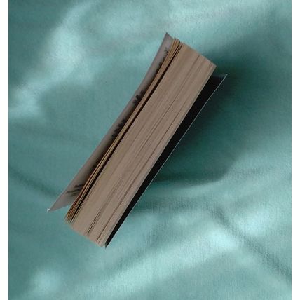 The Sentinel (Jack Reacher 25) by Andrew Child, Lee Child PB