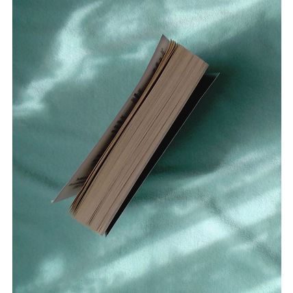 The Sentinel (Jack Reacher 25) by Andrew Child, Lee Child PB