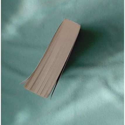 The Sentinel (Jack Reacher 25) by Andrew Child, Lee Child PB