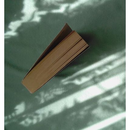 The Sentinel (Jack Reacher 25) by Andrew Child, Lee Child PB