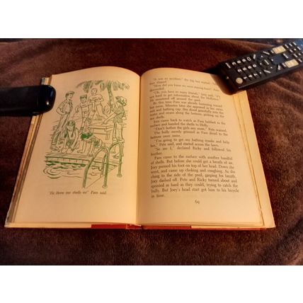 The Happy Hollister's And The Sea Turtle Mystery By Jerry West W/Dustjacket 1964