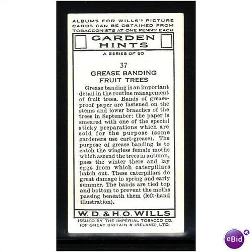 WILLS - 1938 GARDEN HINTS No 37 Grease Banding Fruit Trees Mint