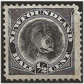 Newfoundland 1894 SG59 1/2c Black Mounted Mint . ..