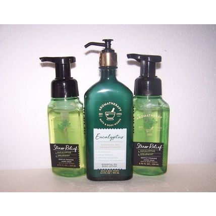 Bath & Body Works Aromatherapy Eucalyptus Spearmint Foaming Soap with Lotion Set