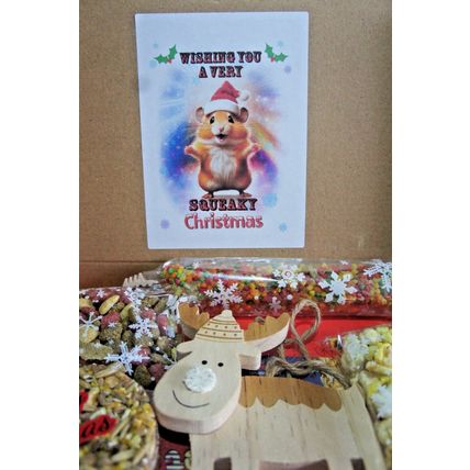 HAMSTER CHRISTMAS TREAT GIFT BOX WITH REINDEER WOOD GNAW TOY AND TASTY TREATS