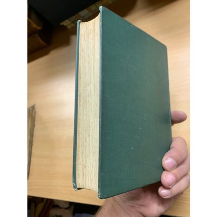 RARE* 1908 ELIZABETH J LYSAGHT "BROTHER AND SISTER" FICTION ANTIQUE BOOK (P4)