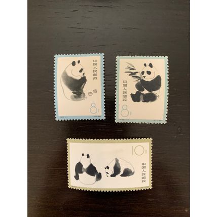 Giant panda mnh