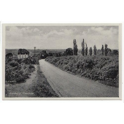 Danbury Common Essex Postcard D2