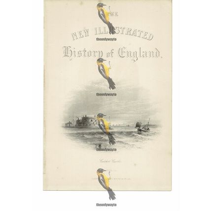 Calshot Castle, Hampshire, Book Illustration (Print), c1870