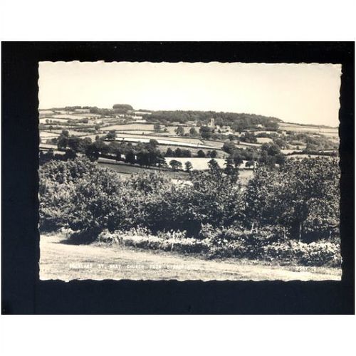 Somerset BUCKLAND ST MARY Church Postcard by Frith (BSMY.10)