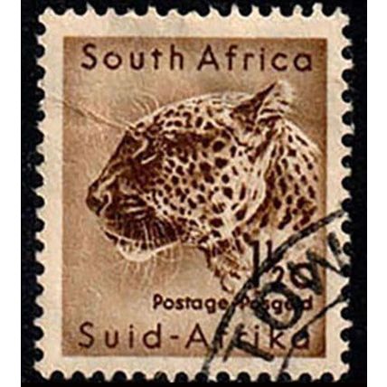 South Africa Suid Afrika 1961 Animal 1 1/2c Used Stamp Leopard